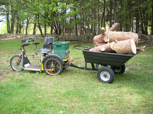 logs1